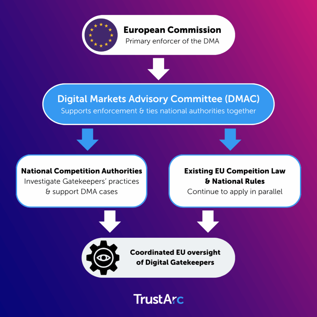 A regulatory framework diagram showing how the DMA complements national competition authorities and European Union laws.